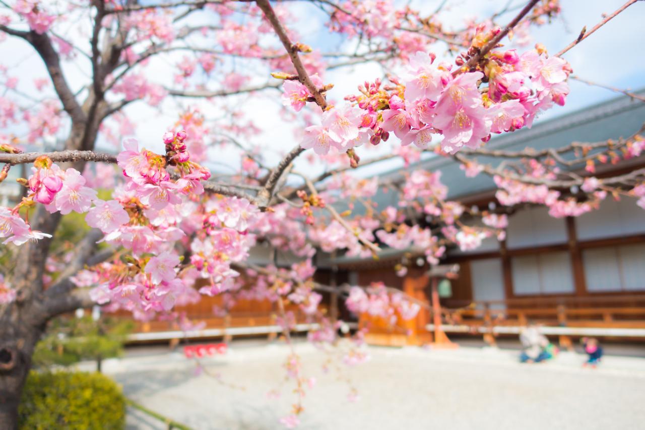 Stay Sakura Kyoto Shijo Karasuma Екстериор снимка