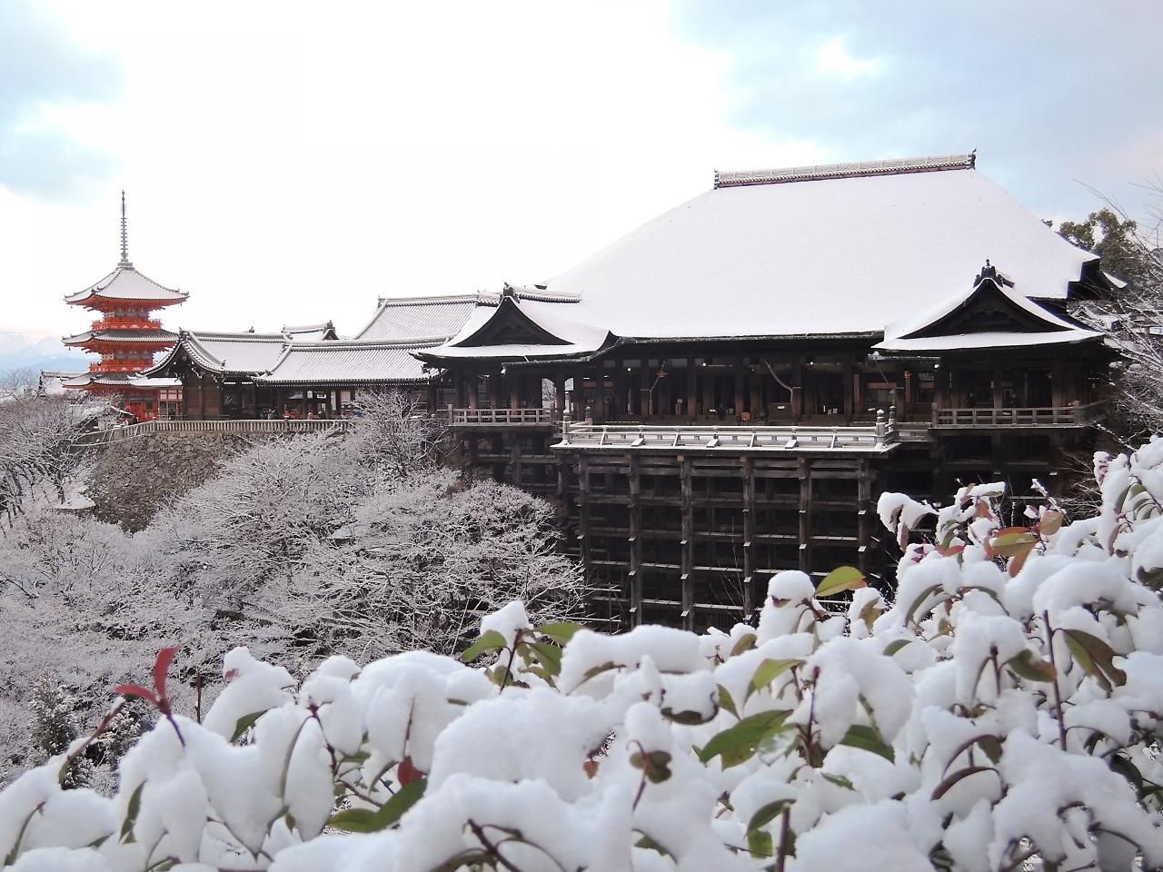 Stay Sakura Kyoto Shijo Karasuma Екстериор снимка