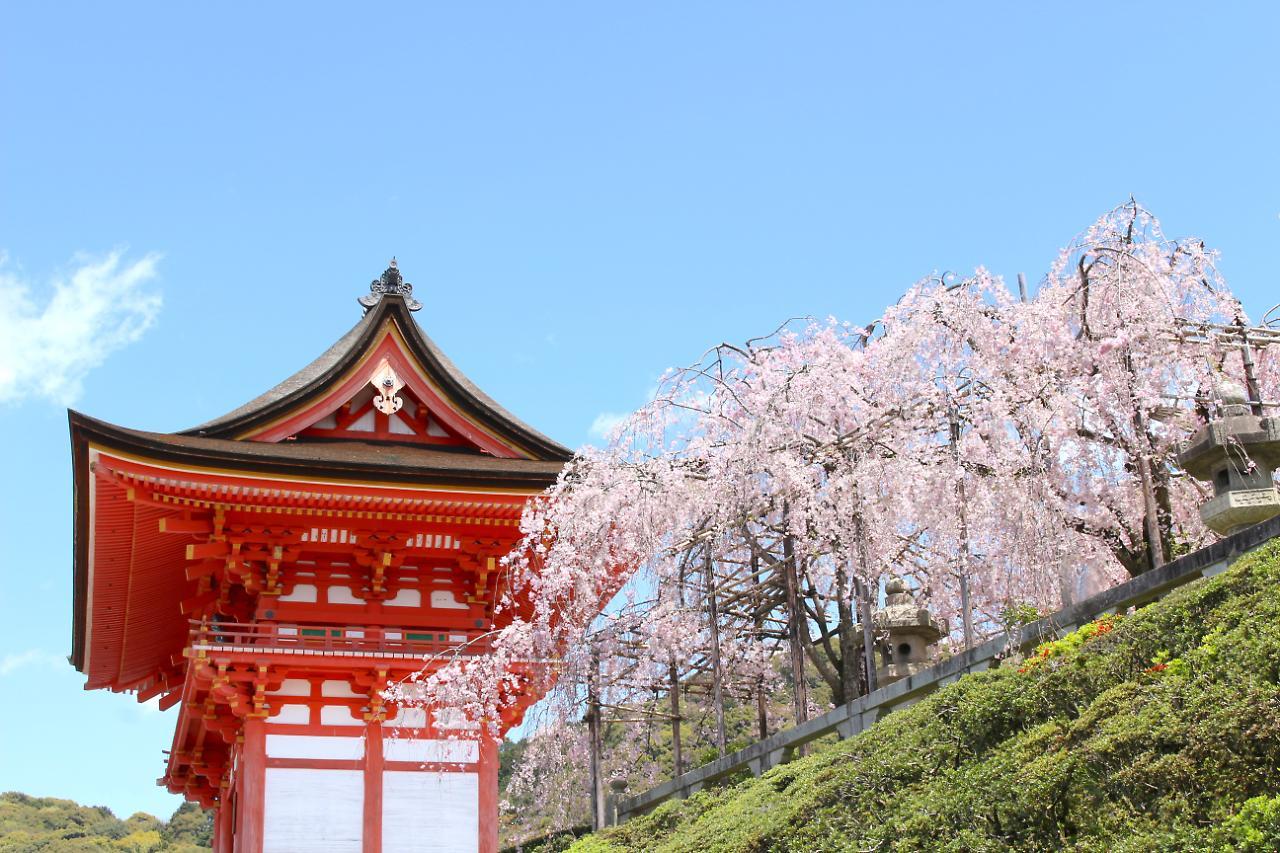 Stay Sakura Kyoto Shijo Karasuma Екстериор снимка