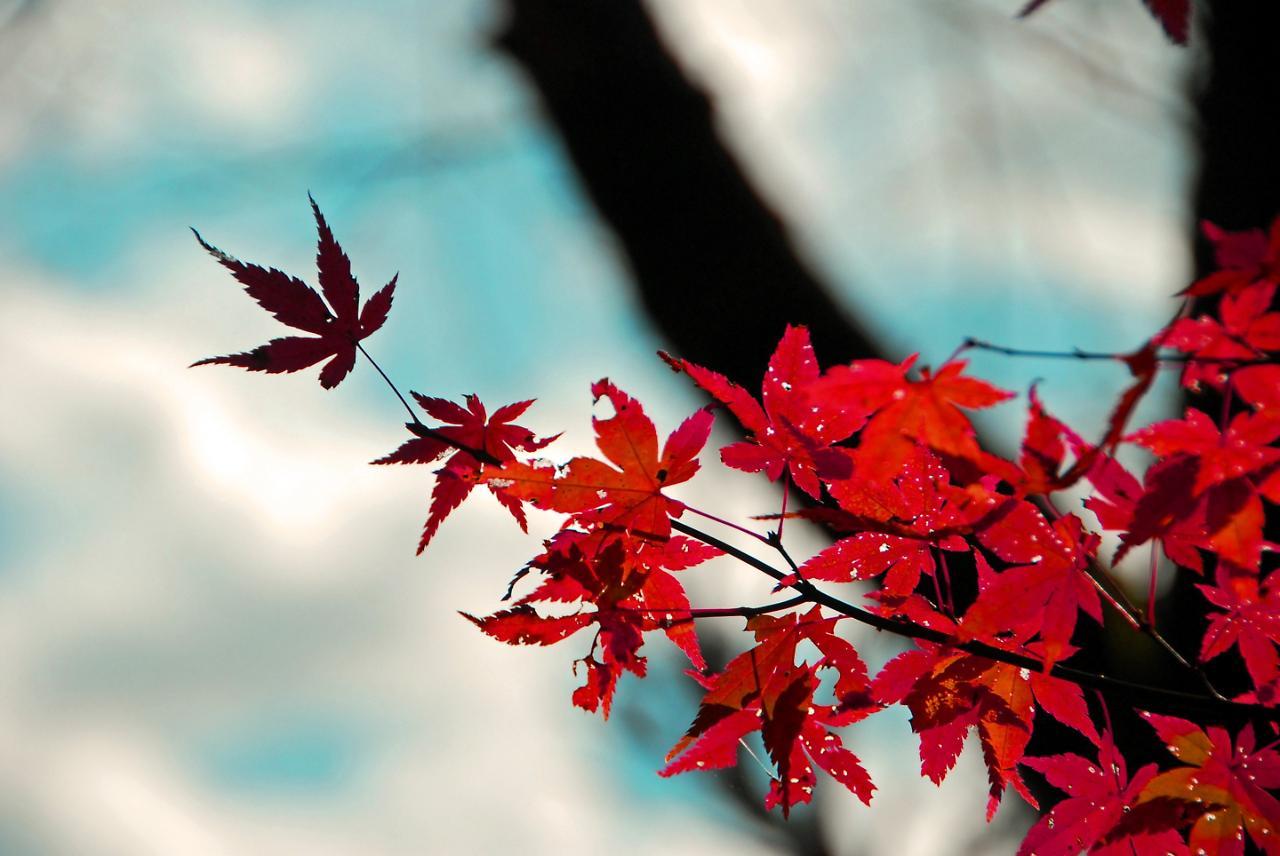 Stay Sakura Kyoto Shijo Karasuma Екстериор снимка
