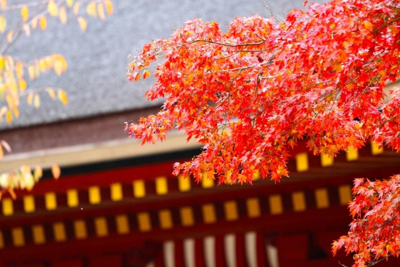 Stay Sakura Kyoto Shijo Karasuma Екстериор снимка